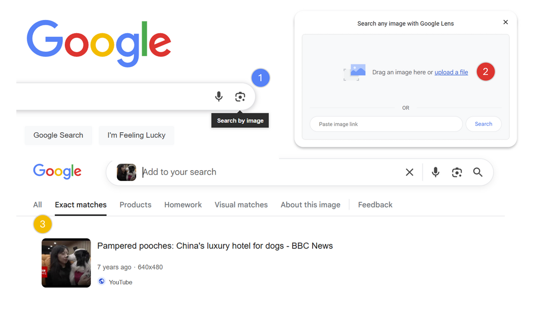 Google reverse image search